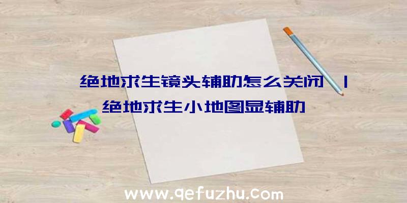 「绝地求生镜头辅助怎么关闭」|绝地求生小地图显辅助